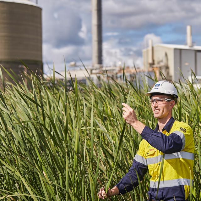 Man standing in wetlands by industrial chimneys